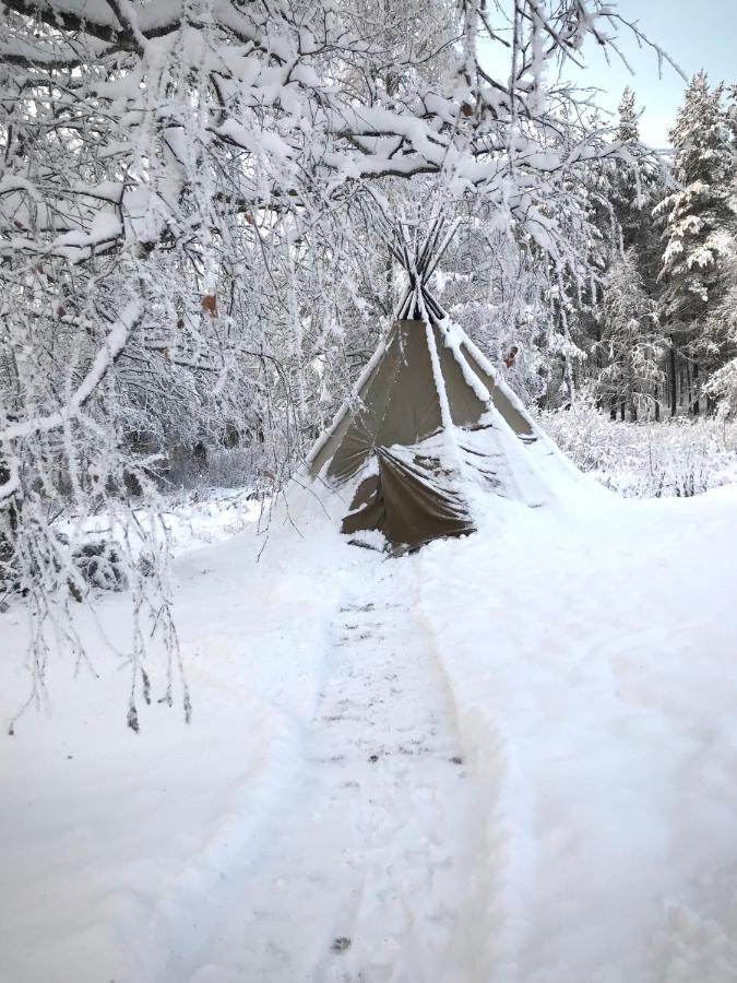 Villa Orohat 2 Rovaniemi Luaran gambar